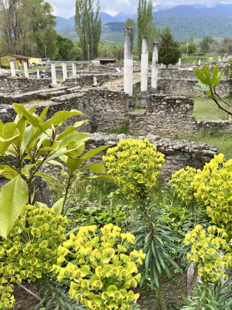 Heraclea Lyncestis i Bitola i Makedonia